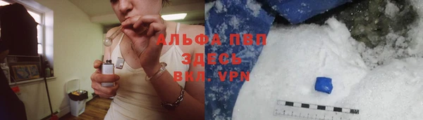 эйфоретик Покачи