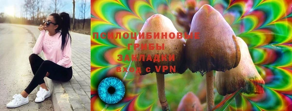 эйфоретик Покачи