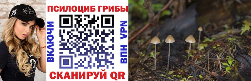 купить наркоту  Пудож  Псилоцибиновые грибы ЛСД 